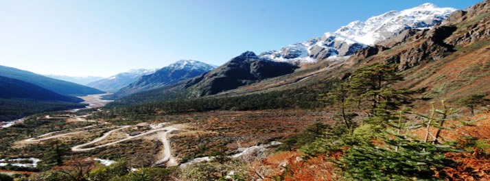 1857/Yarlam Resort - Lachung 09.jpg